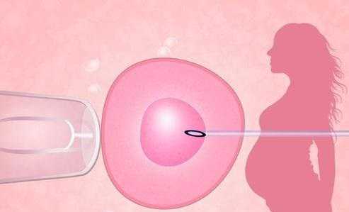 成都私立供卵机构实力解析与2026三代生男孩费用指南